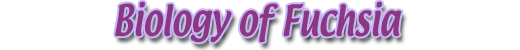Biology of Fuchsia