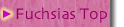 fuchsia_top